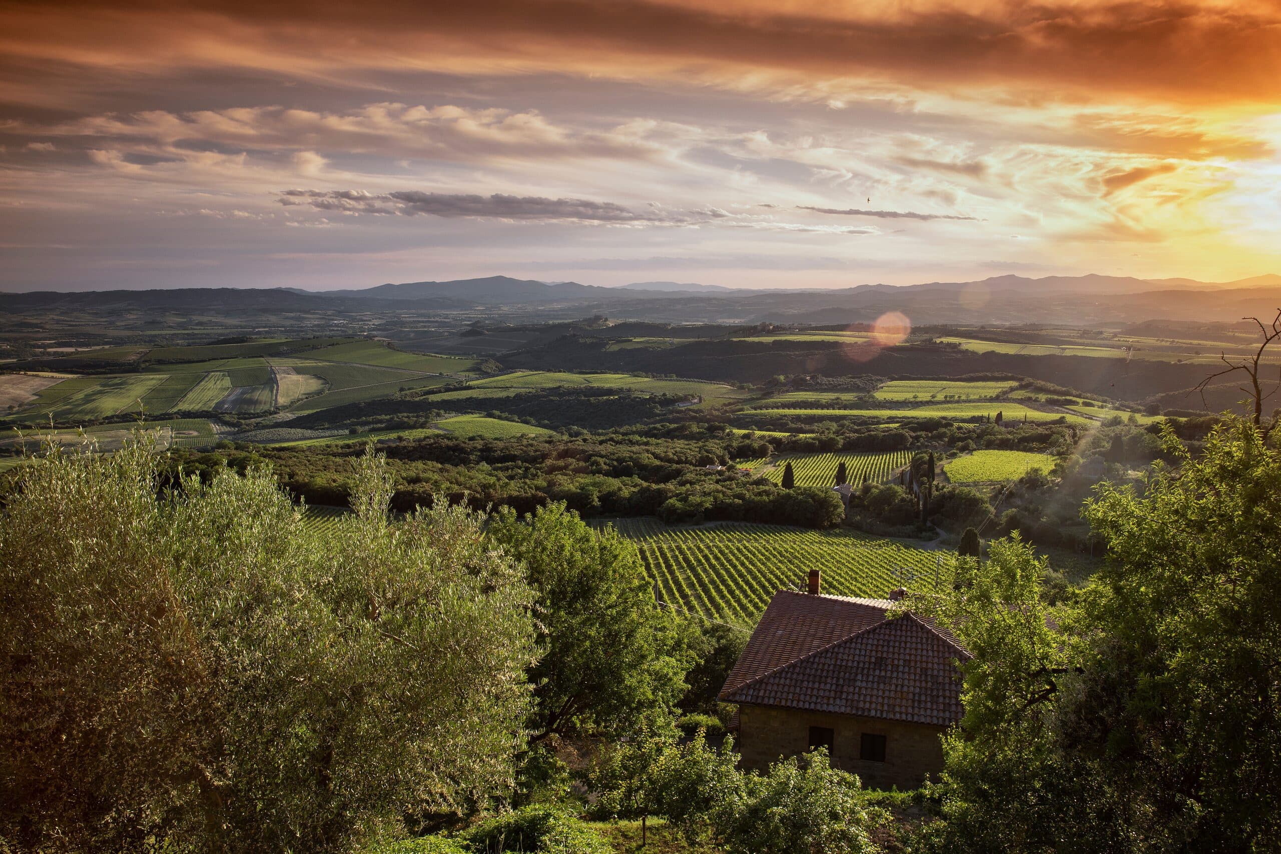 Le colline della Val d'Orcia al tramonto, tra vigneti e un casale