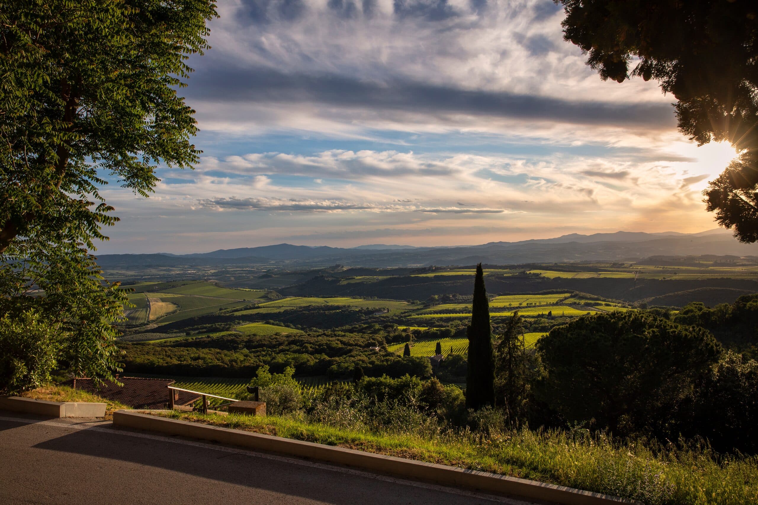 La Val d'Orcia al tramonto incorniciata dagli alberi, con un cipresso tra i vigneti